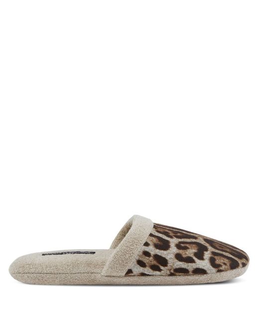 Dolce & Gabbana leopard-print terry slippers