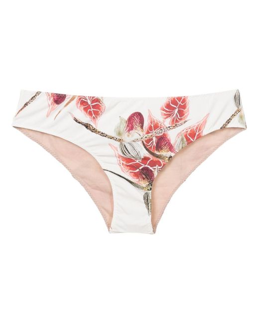 Clube Bossa leaf-print bikini-bottoms