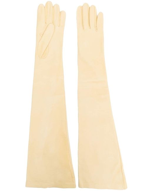 Jil Sander long elbow-length gloves