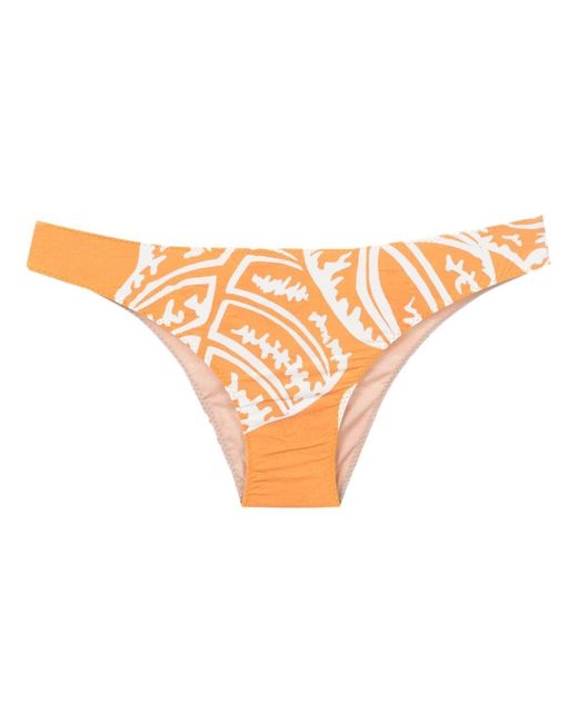 Clube Bossa Niarchos leaf-print bikini bottoms