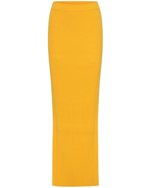 Dion Lee ribbed-knit maxi skirt