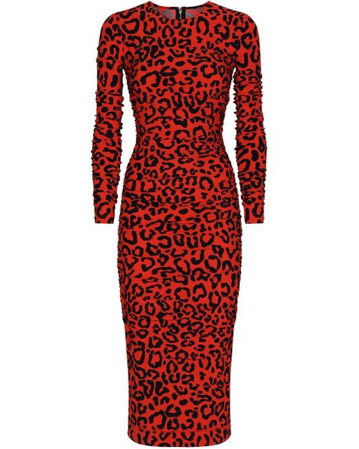 Dolce & Gabbana leopard print midi dress