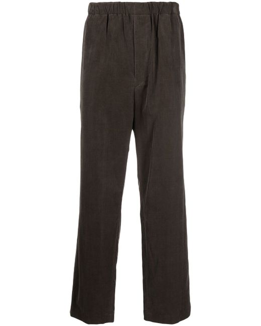 Auralee cotton straight-leg trousers