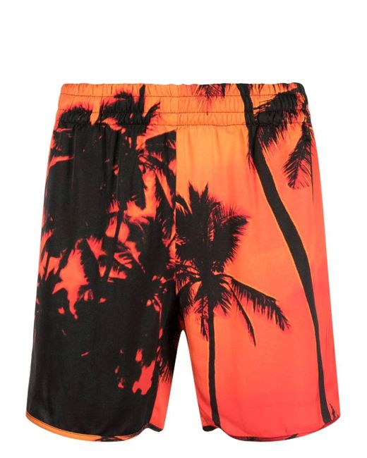 Blue Sky Inn palm-tree print swim shorts