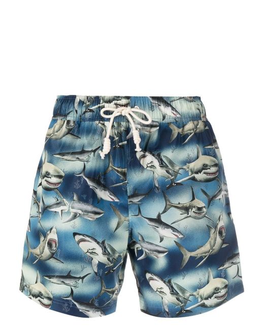 Palm Angels Sharks-print swim shorts