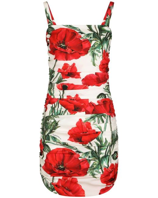 Dolce & Gabbana poppy-print ruched dress