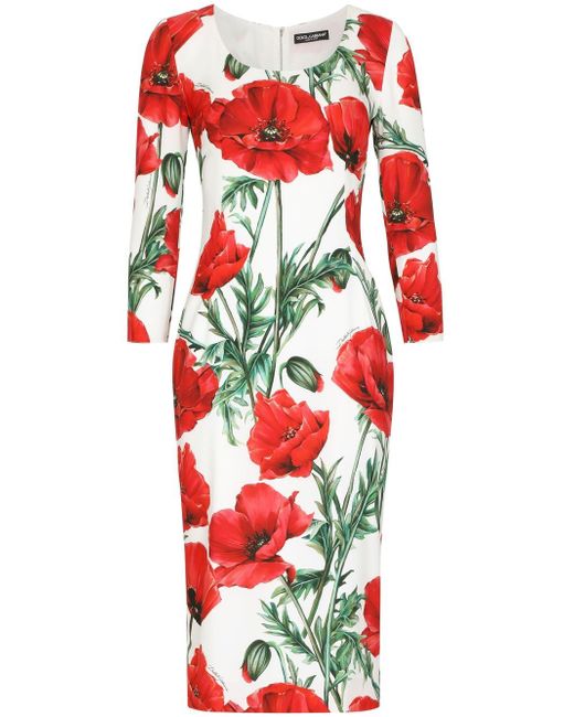 Dolce & Gabbana poppy-print midi dress