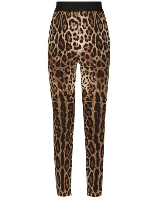 Dolce & Gabbana leopard-print slim-cut leggings