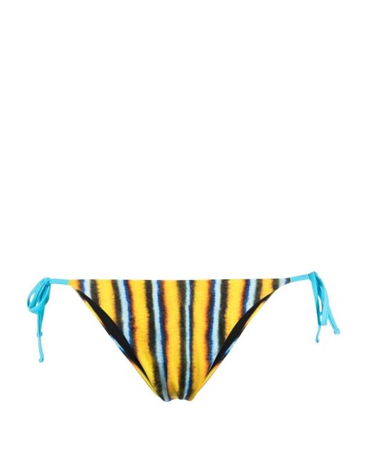 Roberto Cavalli stripe-print bikini bottoms
