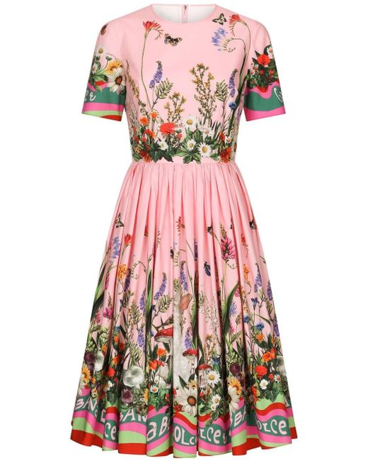 Dolce & Gabbana floral-print short-sleeve midi dress