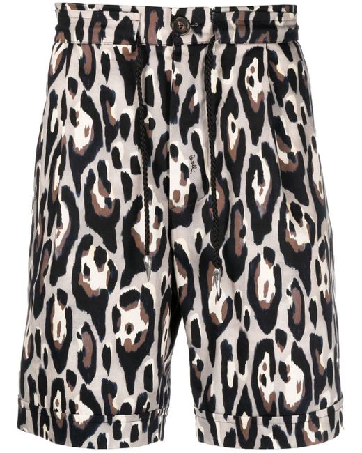 Roberto Cavalli leopard print Bermuda shorts