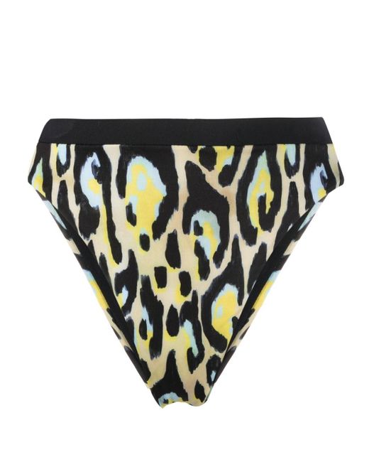 Roberto Cavalli jaguar-print bikini bottoms