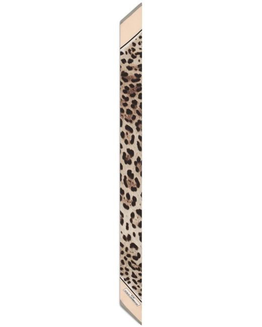 Dolce & Gabbana leopard-print silk foulard