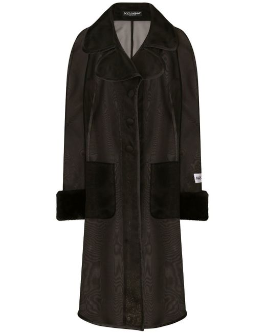 Dolce & Gabbana faux-fur trim sheer coat