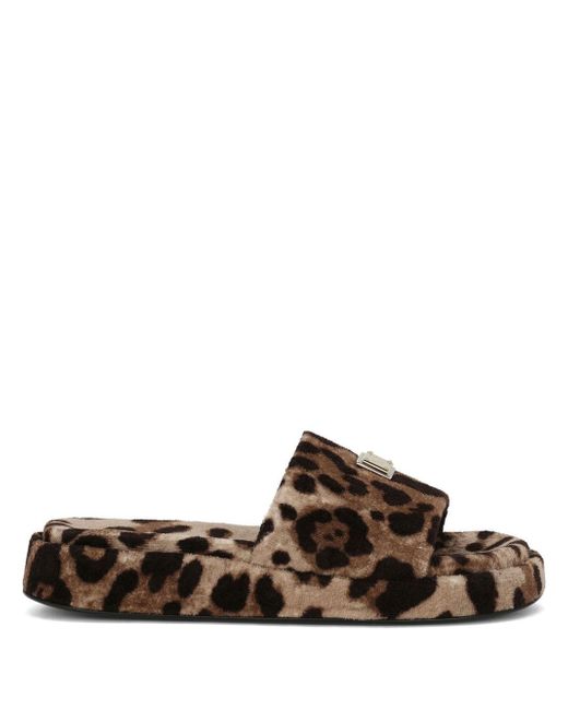 Dolce & Gabbana leopard-print fleece slippers