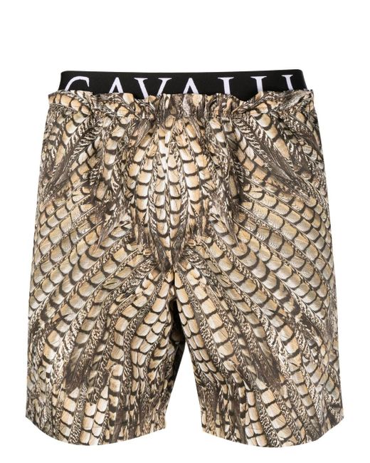 Roberto Cavalli Falcon print swim shorts
