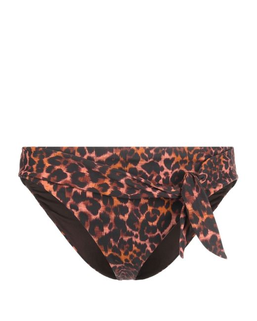 Marlies Dekkers Jungle diva bikini bottoms