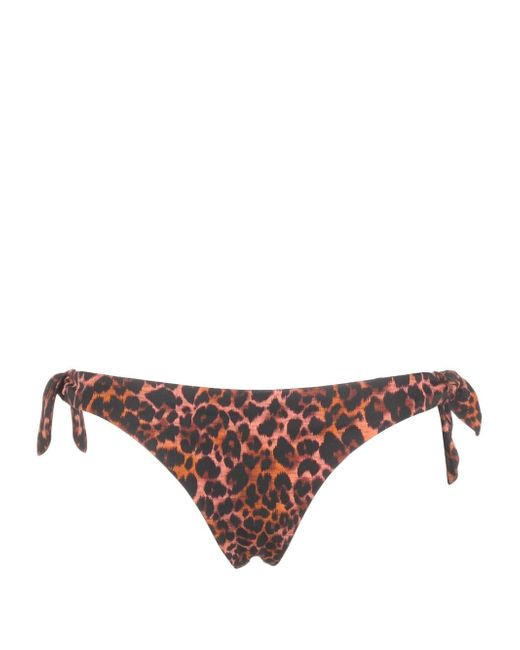 Marlies Dekkers Jungle diva bikini bottoms
