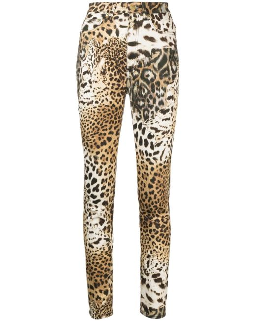 Roberto Cavalli leopard-print tapered-leg trousers