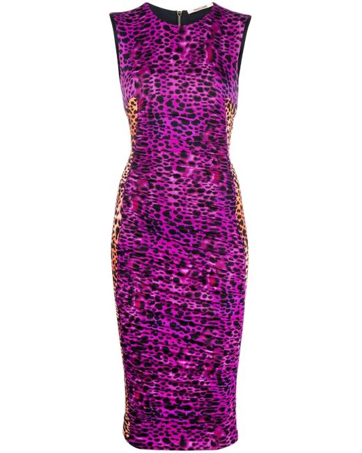 Roberto Cavalli leopard-print fitted dress