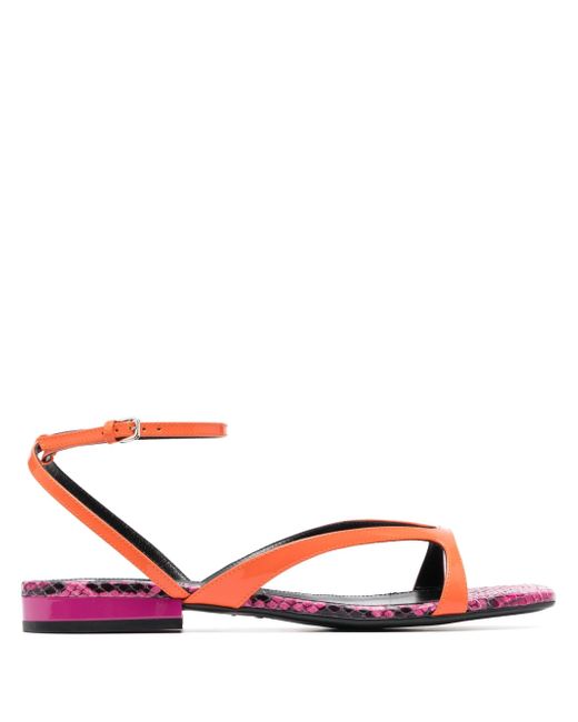 Sergio Rossi ankle-strap flat sandals