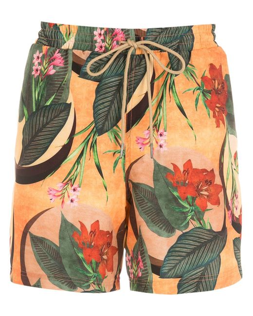 Lygia & Nanny Gil tropical foliage-print swimming shorts