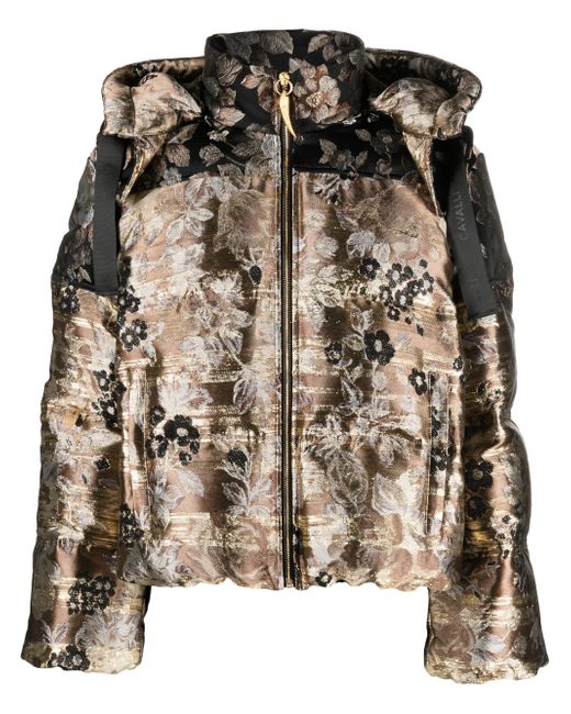 Roberto Cavalli floral-jacquard padded jacket