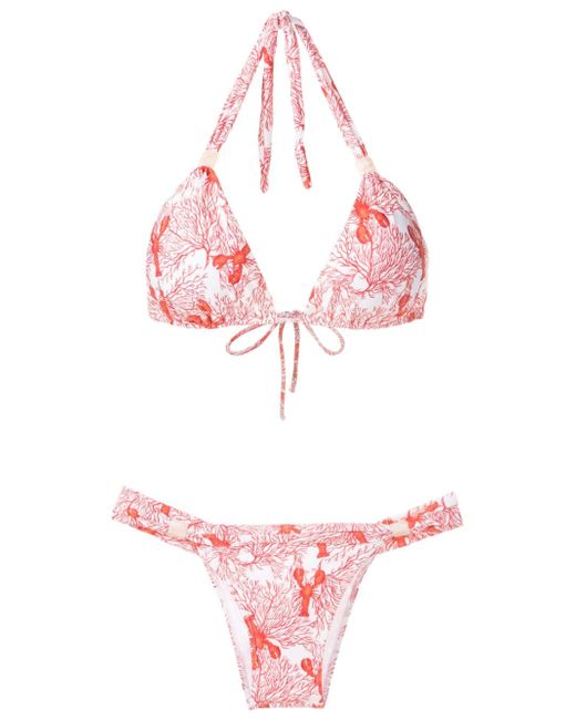 Brigitte sea life-print bikini set