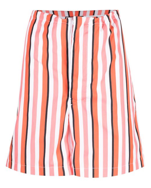 Plan C striped drawstring cotton bermuda shorts