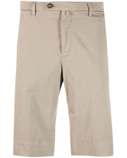 Briglia 1949 cotton chino shorts