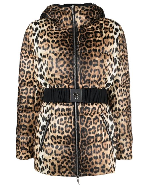 Roberto Cavalli leopard-print padded jacket