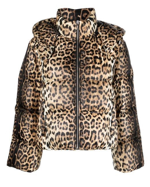 Roberto Cavalli leopard-print padded jacket