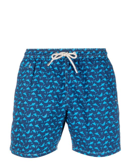 Mc2 Saint Barth dolpin-print swim shorts