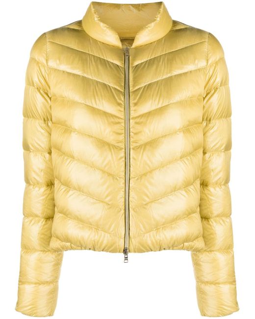 Herno zip-fastening padded jacket