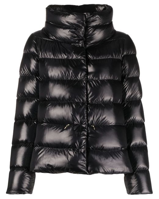 Herno padded down jacket