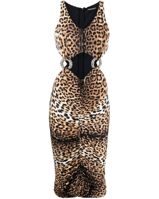 Roberto Cavalli leopard-print cut-out midi dress