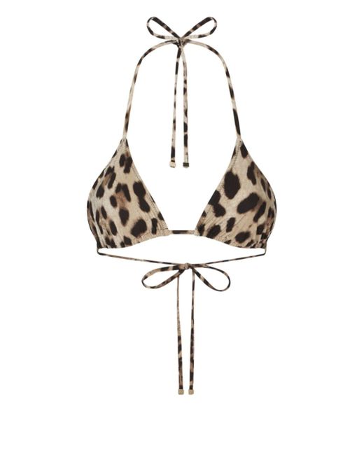Dolce & Gabbana leopard-print triangle-cup bikini top