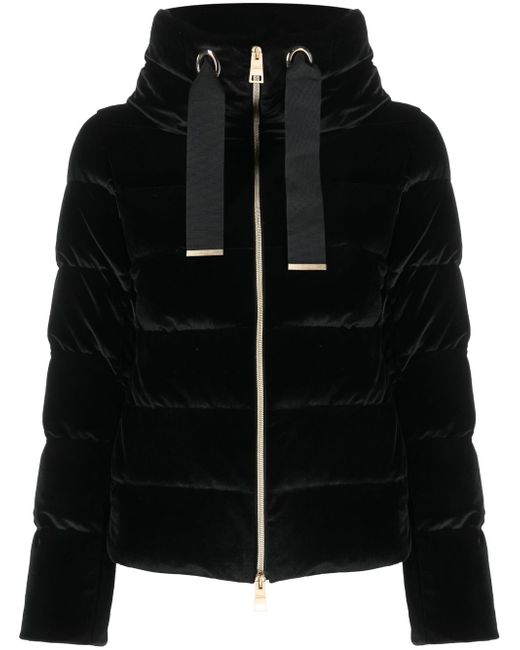 Herno feather-down puffer jacket