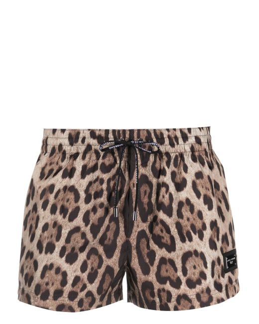 Dolce & Gabbana logo-plaque leopard-print swim shorts