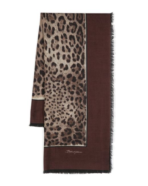 Dolce & Gabbana leopard-print cashmere-blend scarf