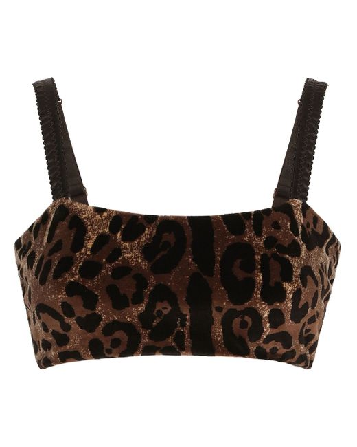 Dolce & Gabbana leopard-print sleeveless crop top