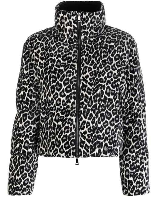 Moncler cheetah-print padded puffer jacket