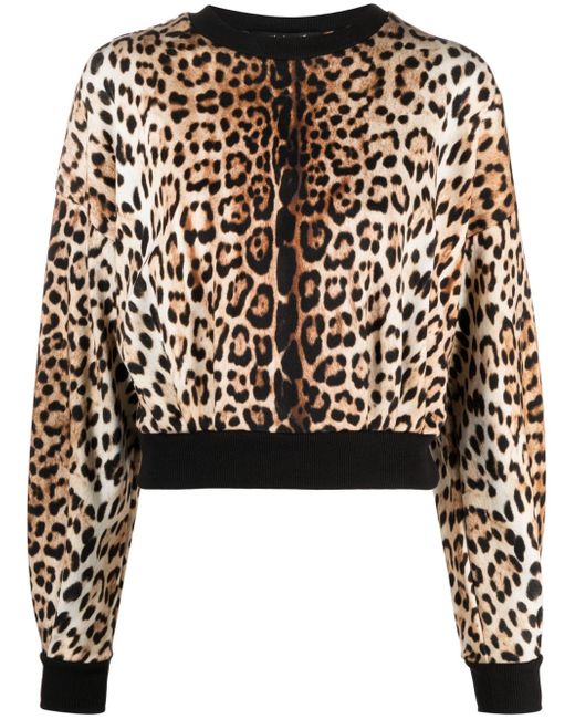 Roberto Cavalli leopard-print cropped sweatshirt