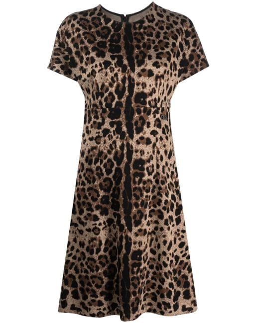 Dolce & Gabbana leopard-jacquard short-sleeved dress