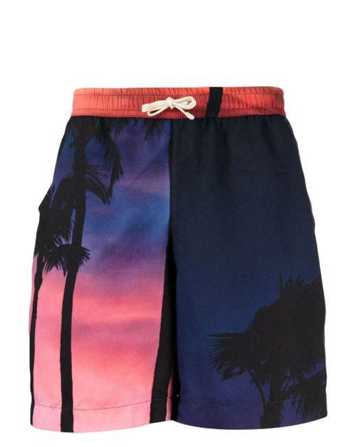 Blue Sky Inn palm-tree print shorts
