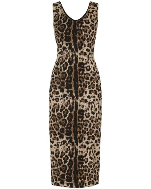 Dolce & Gabbana leopard-print sleeveless dress