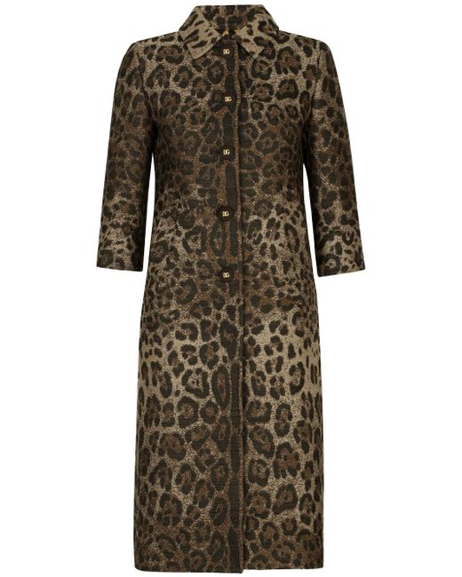 Dolce & Gabbana leopard-print single-breasted coat
