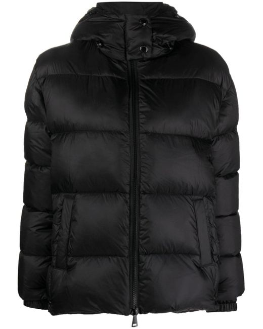 Ermanno Firenze hooded puffer jacket
