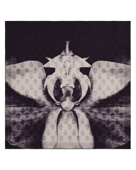 Alexander McQueen Orchid-print scarf
