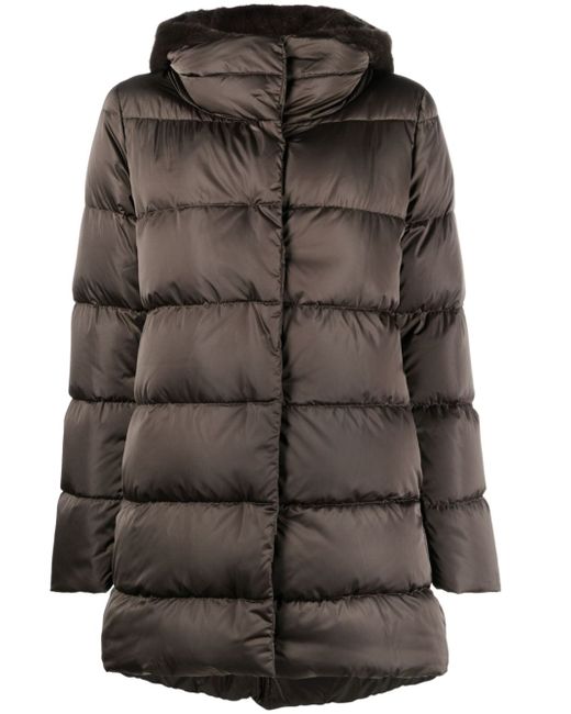 Herno padded down jacket
